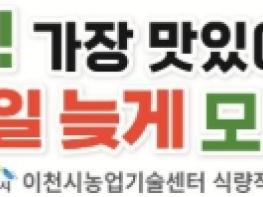 임금님표 이천쌀 ‘알찬미’, 5일 늦게 모내기하세요!…가장 맛있어지는 시기 기사 이미지