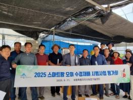 세종시농업기술센터, 스마트팜 오이 수경재배, 효율적 농업의 길을 열다 기사 이미지