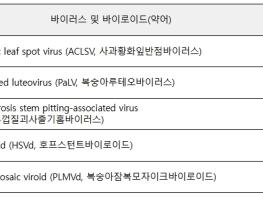 농림축산식품부, 검사 한 번으로 복숭아 병 5개 찾아내 기사 이미지