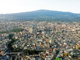 제주시, 우도 땅콩 GAP 인증 대규모 취득…명품 브랜드 도약 기사 이미지