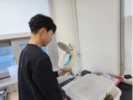 제주도, 온주밀감 가온재배의 시작은 꽃눈 확인부터 기사 이미지