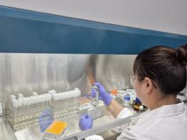 충남도 엽산 분야 ‘국가표준식품성분 DB 구축’ 선도 기사 이미지