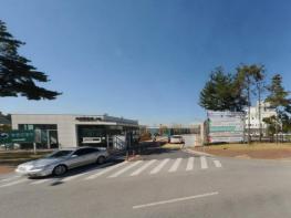 농촌진흥청, 장기 저장 '양파, 마늘' 품질 12월~1월 저장고 관리가 좌우 기사 이미지