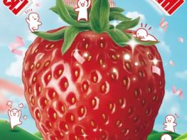 완주 삼례 딸기축제 3월 6일 개막… ‘달콤한 봄 향연’ 기사 이미지