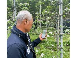 장성군 “사과·배 화상병 예방… 지금 시작하세요” 기사 이미지
