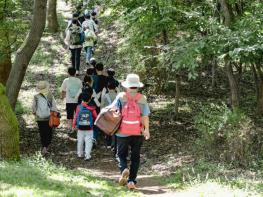 충남도 내포문화숲길 ‘숲 체험학습’ 참가학교 모집 기사 이미지