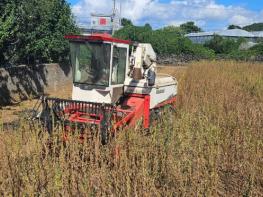제주도 농기원, 참깨 수확 기계화 확대…동부지역 소득작목 육성 박차 기사 이미지