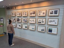 충청남도태안교육지원청 태안도서관, 5월 원화 전시 운영 기사 이미지