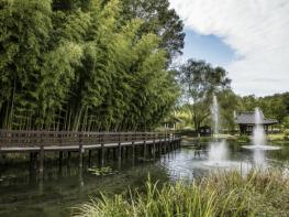 담양군-한국관광공사, 일본 여행업계 대상 한국 소도시 매력 알려 기사 이미지