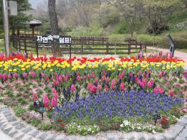 보령시 무궁화수목원 기사 이미지