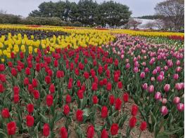 2026태안국제원예치유박람회 기사 이미지